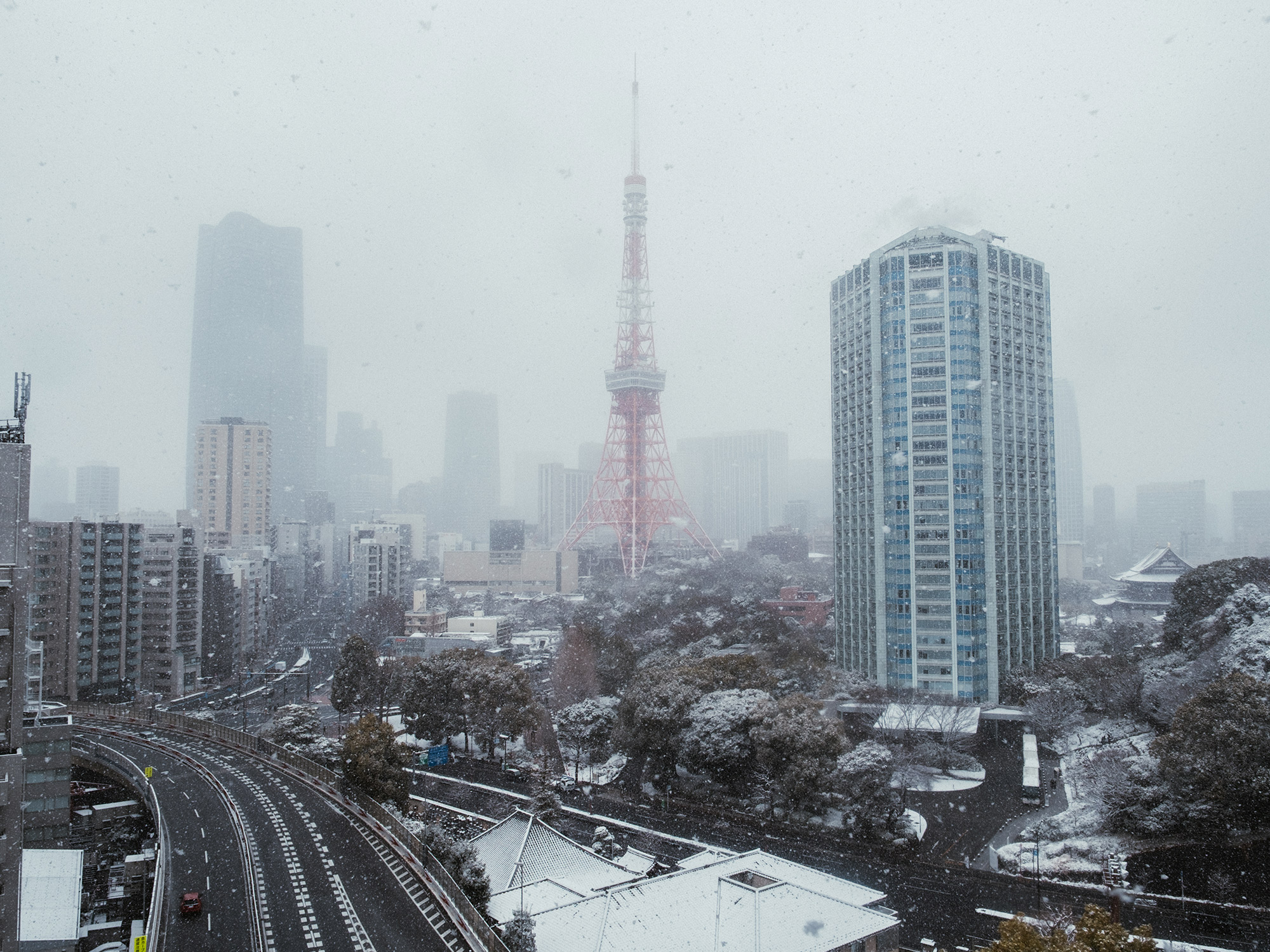 雨あがり